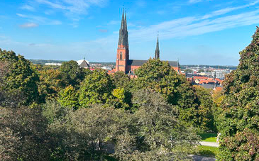 Blick auf die Kathedrale von Uppsala © Severin/Bonifatiuswerk
