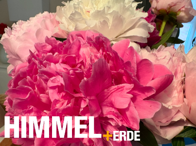 Mikro - Himmel und Erde